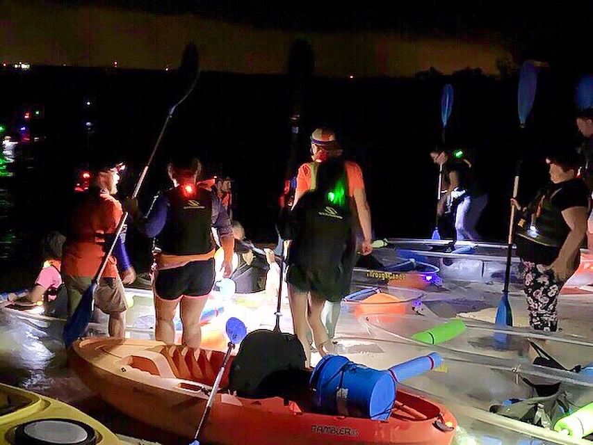 Best Time to Do Florida Bioluminescent Kayaking Tours